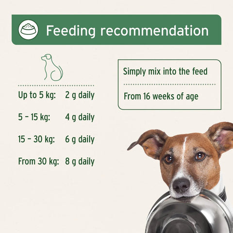 Feeding guide image of ANIFORTE Canine Complete All-Round Supplement - Pets Villa. 