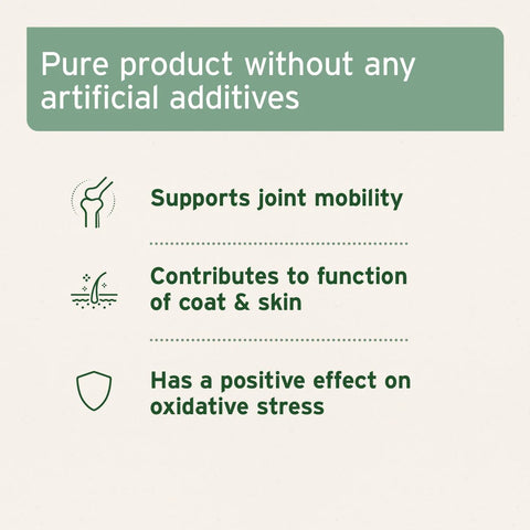 Image advantages in ANIFORTE MSM Powder for Cats and Dogs 300g - Pets Villa. 