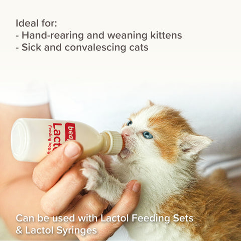 Image of a kitten drinking BEAPHAR Lactol Kitten Milk Replacer - Pets Villa. 