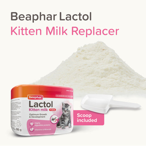Product image of BEAPHAR Lactol Kitten Milk Replacer - Pets Villa. 