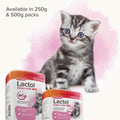 Image of the two sizes of BEAPHAR Lactol Kitten Milk Replacer - Pets Villa. 
