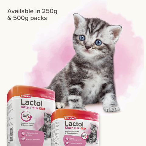Image of the two sizes of BEAPHAR Lactol Kitten Milk Replacer - Pets Villa. 