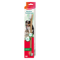 Front image of BEAPHAR Pet Double-Ended Bamboo Toothbrush - Pets Villa. 
