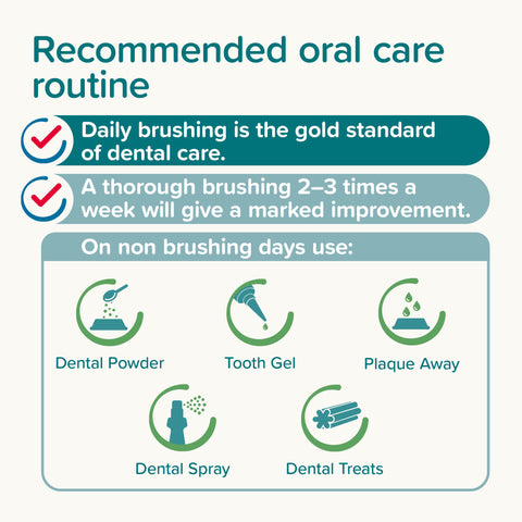 Recommendations image for BEAPHAR Pet Double-Ended Bamboo Toothbrush - Pets Villa. 