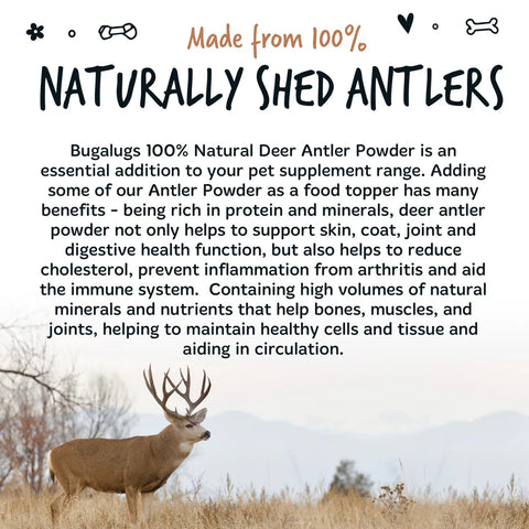 Informational image of BUGALUGS Natural Deer Antler Powder Supplement 70g - Pets Villa.