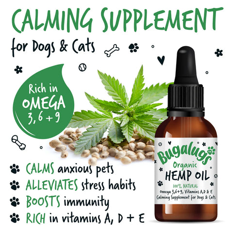 Image of the calming supplement BUGALUGS Organic Hemp Oil 50ml - Pets Villa. 