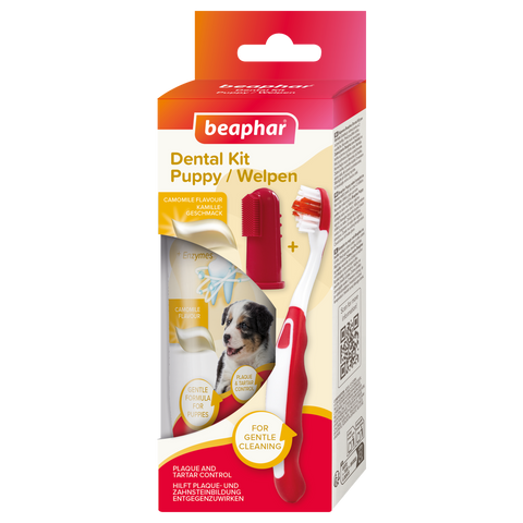 Front image of Beaphar Puppy Dental Kit
 - Pets Villa. 