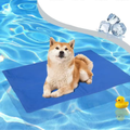 Front image of Blue Pet Cooling Mat - Pets Villa. 