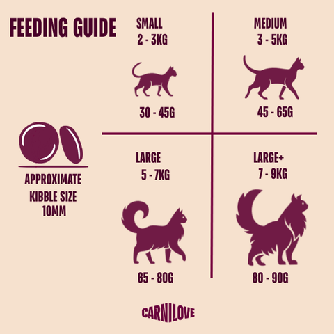 Feeding image of CARNILOVE Active Cat Beef and Venison - Pets Villa. 
