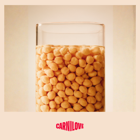 Chickpea image of CARNILOVE Active Dog Small Breed Salmon and Turkey - Pets Villa. 