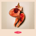 Salmon image of CARNILOVE Active Dog Small Breed Salmon and Turkey  - Pets Villa. 