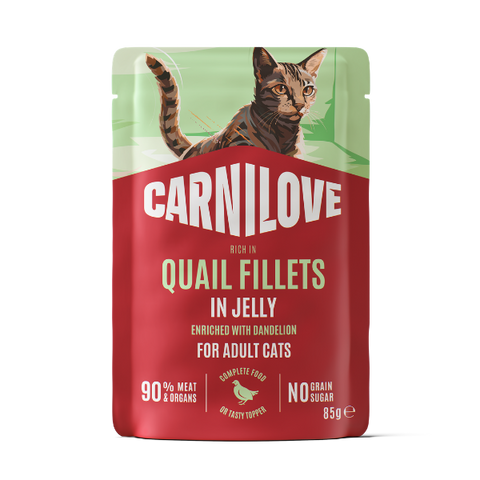 Front image of CARNILOVE Cat Quail Fillets Enriched with Dandelion in Jelly for Adult Cats  - Pets Villa. 