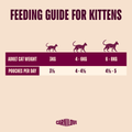 Feeding Guide image of CARNILOVE Cat Rabbit Fillets in Jelly Pouch for Kittens - Pets Villa. 