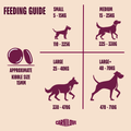 Feeding Guide image of CARNILOVE Dog True Fresh Beef - Pets Villa. 