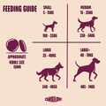 Feeding Guide image of CARNILOVE True Fresh Dog Fish and Turkey - Pets Villa. 