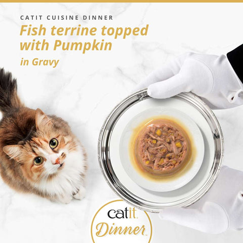 Image of CATIT Cuisine Dinner Fish Terrine topped with Pumpkin on a plate - Pets Villa. 