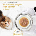 Image of CATIT Cuisine Dinner Fish Terrine topped with Salmon on a plate - Pets Villa. 