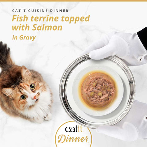 Image of CATIT Cuisine Dinner Fish Terrine topped with Salmon on a plate - Pets Villa. 