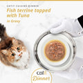 Image of CATIT Cuisine Dinner Fish Terrine topped with Tuna on a plate - Pets Villa. 