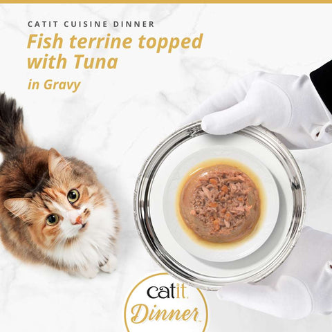 Image of CATIT Cuisine Dinner Fish Terrine topped with Tuna on a plate - Pets Villa. 