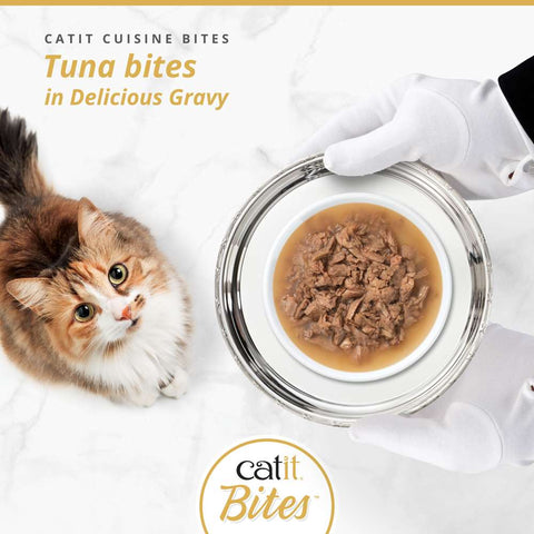 Image of CATIT Cuisine Tuna Bites in Delicious Gravy on a plate - Pets Villa. 
