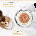 Image of CATIT Cuisine Tuna Fillet on a plate - Pets Villa. 