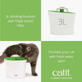 Image of another cat drinking from CATIT Original Cat Flower Fountain 3L - Pets Villa. 