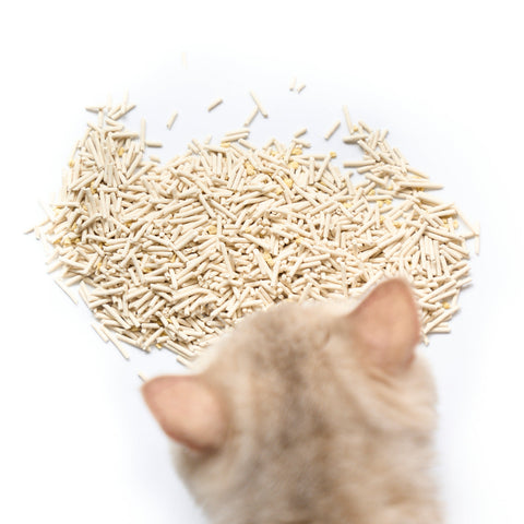 Product image of COCOCAT Plant Based Tofu Cat Litter - Pets Villa. 