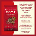Image of nutritious information of COYA Kibble Plus Beef Adult Dog Food - Pets Villa. 