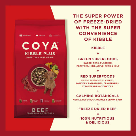 Image of nutritious information of COYA Kibble Plus Beef Adult Dog Food - Pets Villa. 