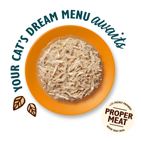 LILY'S KITCHEN Cat Shredded Fillets Multipack