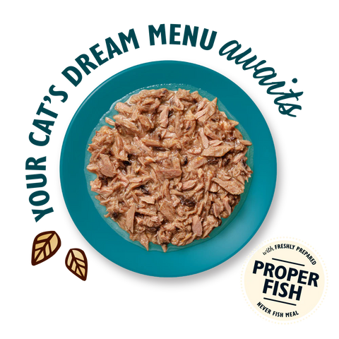 LILY'S KITCHEN Cat Shredded Fillets Multipack