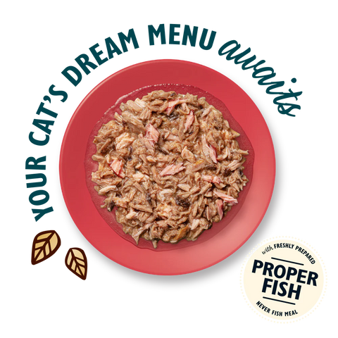 LILY'S KITCHEN Cat Shredded Fillets Multipack