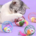 Image of a cat playing with Caged Feather Mouse Cat Toy - Pets Villa. 