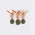 Front image of Catnip Ball with Feather  - Pets Villa. 