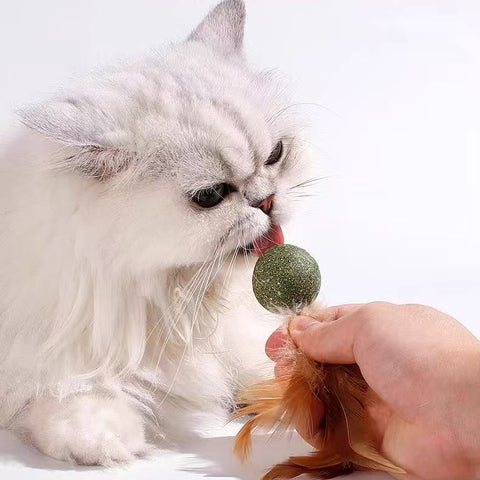Image of a cat with Catnip Ball with Feather  - Pets Villa. 