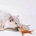 Image of a cat with Catnip Ball with Feather  - Pets Villa. 
