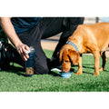 Image of a dog using DEXAS Snack-Duo Pet Travel Cup and Bowl - Pets Villa. 