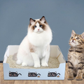 Front image of Disposable Cat Litter Box - Pets Villa. 