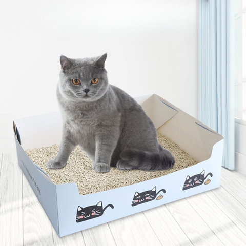 Image of a cat using Disposable Cat Litter Box - Pets Villa. 