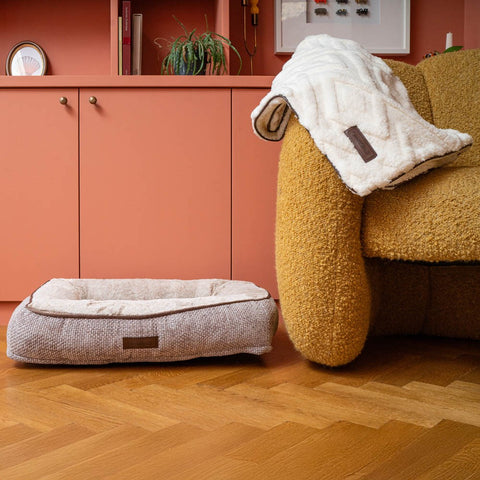 Front image of GREAT & SMALL Snuggle&Snooze Soft Lounger in Latte Dog Bed - Pets Villa. 