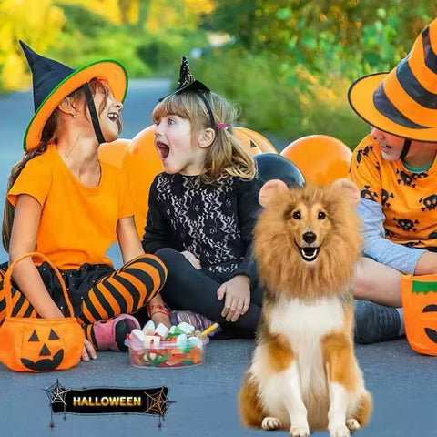 Halloween background with Halloween Lion Mane Dog Costume - Pets Villa. 