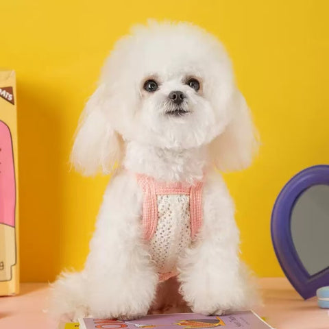 Image of a dog wearing the pink variant of Heart Bow Summer Pet Sweater - Pets Villa. 