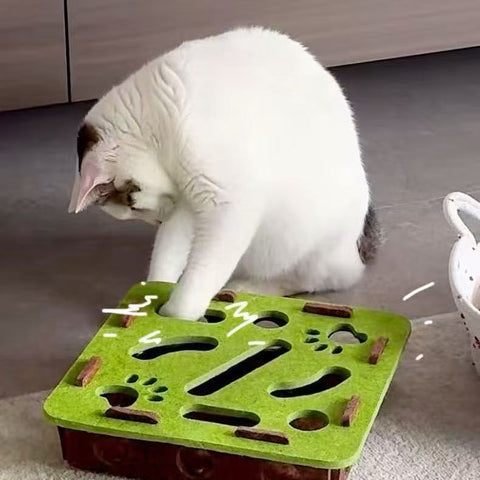 Cat playing with Interactive Felt Maze Puzzle Enrichment Box for Pets - Pets Villa. 