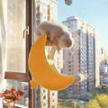 Moon scratcher image of JOYCAT Sky Window Cat Hammock/Scratcher - Pets Villa. 