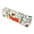 Front image of JR Christmas Cracker Pure Chicken Pate for Dogs 80g - Pets Villa. 
