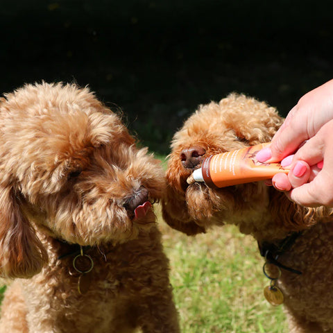 Product image of JR Poultry Meat Paste for Dogs 75g - Pets Villa. 