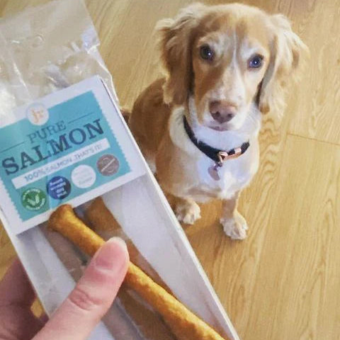 Product image of JR Pure Salmon Sticks 50g - Pets Villa. 