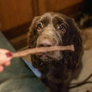 Product image of JR Pure Turkey Sticks 50g - Pets Villa. 