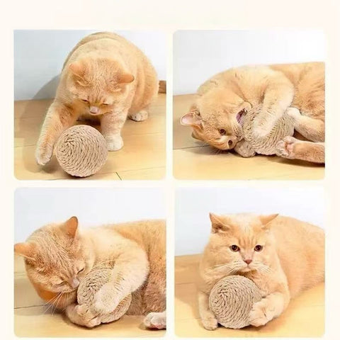 Image of a cat playing with Large Sisal Cat Ball Assorted - Pets Villa. 